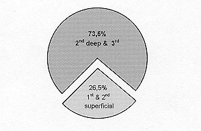 Fig. 8 - Distribution by burn depth.