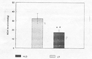 Fig. 4 - Heart tissue MDA levels at 24 hours post-bum. *p<0.01