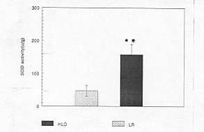 Fig. 5 - Heart tissue SOD activity at 24 hours post-bum. *p<0.01