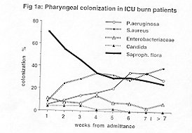Fig. la - Pharyngeal colonization in ICU bum patients.