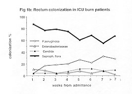 Fig. lb - Rectum colonization in ICU burn patients