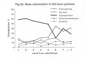 Fig. 2a - Nose colonization in ICU bum patients