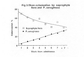 Fig. 3 - Mean colonization by Saprophyte flora and P. aeruginosa.