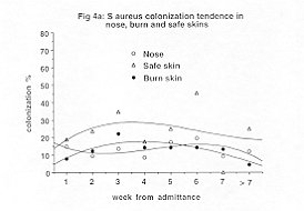 Fig. 4a - S. aureus colonization tendency in nose, burn, and safe skins.