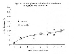 Fig. 4b - P. aeruginosa colonization tendency in rectum and bum skins.