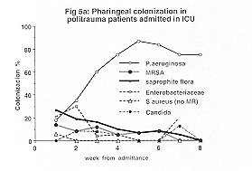 Fig. 5a - Pharyngeal colonization in polyLraumatic ICU patients.