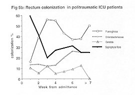 Fig. 5b - Rectum colonization in polytraumatic ICU patients
