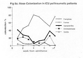 Fig. 5c - Nose colonization in polytraumatic ICU patients.
