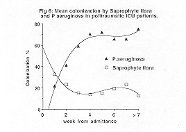 Fig. 6 - Mean colonization by saprophyte flora and P. aeruginosa