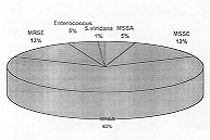 Fig. 2 - Gram-positive isolates from septicaernic patients.