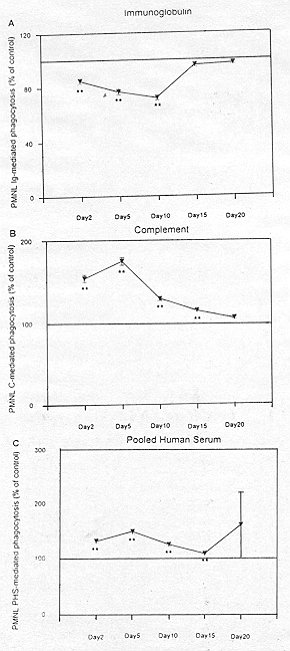 Fig. 2 - Time course of neutrophil (PIVIL) immunoglobulin-mediated phagocytosis (A), complement-mediated phagocytosis (B), and phagocytosis mediated by pooled human serum (PHS) (C) in bum patients as determined by phagoeyfic index. The results are expressed as the percentage of the number of Candida albicans ingested by 100 PMLs divided by 100. The control data were obtained from parallel measurements. The results are given as the mean  SEM, and the significance of difference between the patients and controls is indicated as *p < 0.05, **p < 0.01.