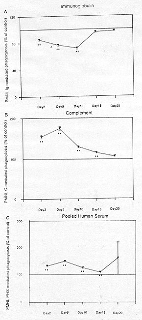 Fig. 2 - Time course of neutrophil (PIVIL) immunoglobulin-mediated phagocytosis (A), complement-mediated phagocytosis (B), and phagocytosis mediated by pooled human serum (PHS) (C) in bum patients as determined by phagoeyfic index. The results are expressed as the percentage of the number of Candida albicans ingested by 100 PMLs divided by 100. The control data were obtained from parallel measurements. The results are given as the mean ± SEM, and the significance of difference between the patients and controls is indicated as *p < 0.05, **p < 0.01.