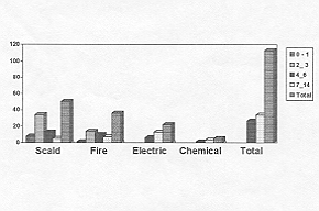 Fig. 2 - Distribution of bums by cause.