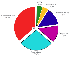 Fig. 1 - Rates of bacterial pathogens, isolated from the Imipenem/ Cilastatin treated burned patients.