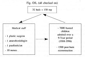 Fig. 1 - The Bucharest Burns Centre for Children Centre.