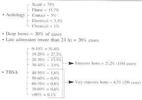 Fig. 3 Aetiology of burns.