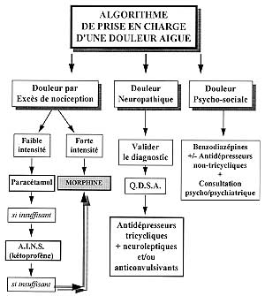 Tableau V - Le type de douleur