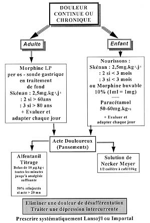 Tableau X - Les douleurs continues ou douleurs chroniques