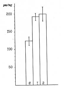 Fig. 3 ~ The effect of burn shock on the total opiate-like activity of the cerebral frontal areas in white rats.