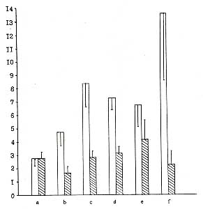 Fig. 4 - Influence of naloxone on visceral stress analgesia due to experimental burn shock in white rats.