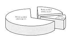 Fig. 4 - Distribution of patients by place of accident.
