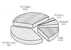 Table III - Causative agent of burns