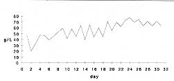 Fig. 1 - Total protein.