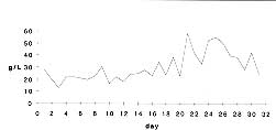 Fig. 2 - Albumin.