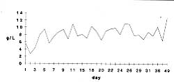 Fig. 4 - Alpha-2 fraction.