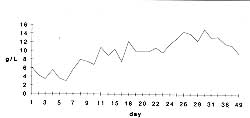 Fig, 6 - Gamma alobulin