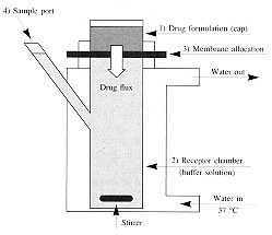 Fig. 1 - Diagramatic illustration of a Franz-like diffusion cell.