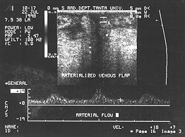 Gr0000040.jpg (14334 byte)