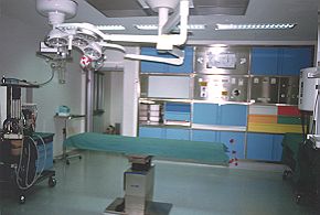 Fig. 4 - Surgical area