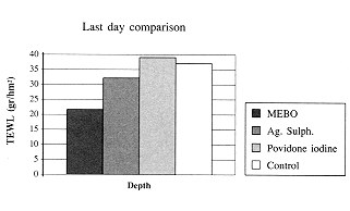 Fig. 8 - Evolution using MEBO ointment. Deep partial -thickness burn. Appearance on day 7 post-bum. 