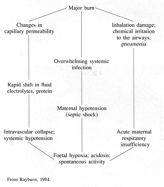 Table III - Events determining spontaneous uterine activity
