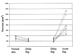 Fig .7 - Grapfic representation of necrotic area (mm2)obtained from autoradiographies.Each line represent one rabbi