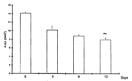 Fig. 1 - Wound area (cm²) in control animals (** p < 0.01).