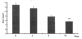 Fig. 2 - Wound area Ian=i in animuh treated with TGF-1 + bFGF i *** p < 0.01 i.