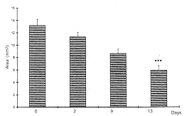 Fig. 3 - Wound area 1 cm=) in animals treated with IL-8 I `*' 1) < 0.001 i. 8 treated animals.