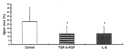 Fig. 5 - Percent open area in control. TGF-1 + bFGF and IL-8 treated animals (* p < 0.05).