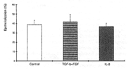 Fig. 6 - Percent epithelialization in control.