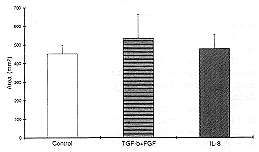 Fig. 7 - Epithelialization + contraction area in TGF-1 + bFGF and IL-8 treated animals.