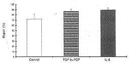 Fig. 8 - Percent of repair in TGF-1 + bFGF and IL-8 treated animals. 
