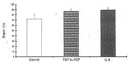 Fig. 8 - Percent of repair in TGF-1 + bFGF and IL-8 treated animals.
