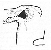 Schema 2 - Dessin du I et C.