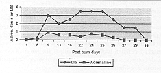 Fig. 1 - Relationship between the Lung Injury Scale (LIS) and epinephrine requirements during
various stages of the clinical course. Adrenaline dose = mcg/kg/min. Day 9 = day
1 MV. Day 25 = day 1 methylprednisolone. Day 29 = e xtubation. Day 55
= Discharge.