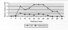 Fig. 1 - Relationship between the Lung Injury Scale (LIS) and epinephrine requirements during
            various stages of the clinical course. Adrenaline dose = mcg/kg/min. Day 9 = day
            1 MV. Day 25 = day 1  methylprednisolone. Day 29 = e xtubation. Day 55
            = Discharge.