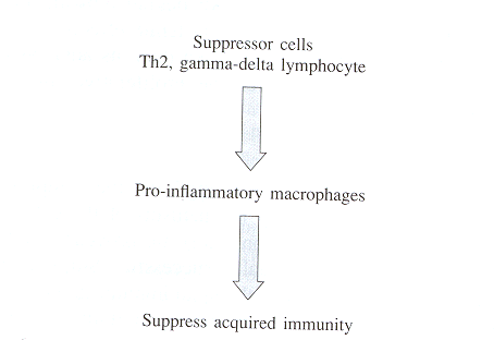 Fig. 10Suppressor cells.