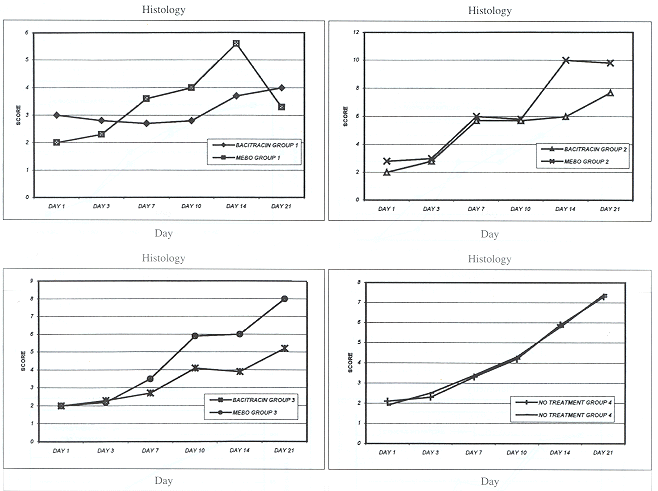 Fig. 2Trend of wound-healing histological patterns in the various groups