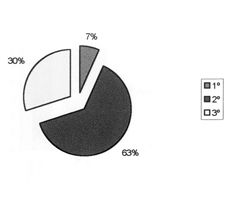 Fig. 5Depth of burn
